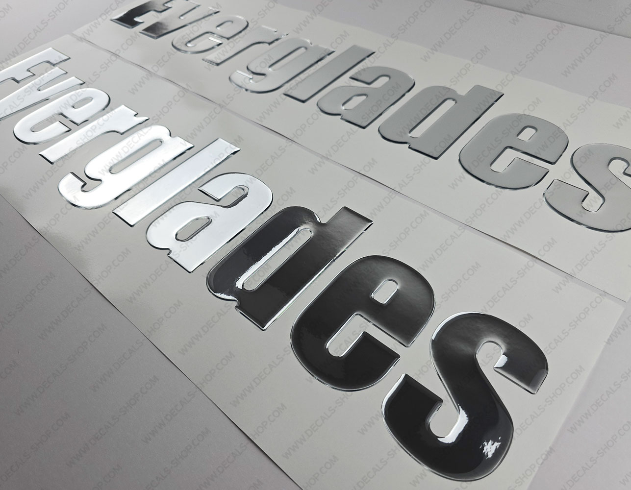 Everglades Boat Logo Raised Domed 3D Decals 28