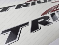 Triumph 190 Bay Boat 2005 Logo Red/Silver Decals Set of 2 x 39"