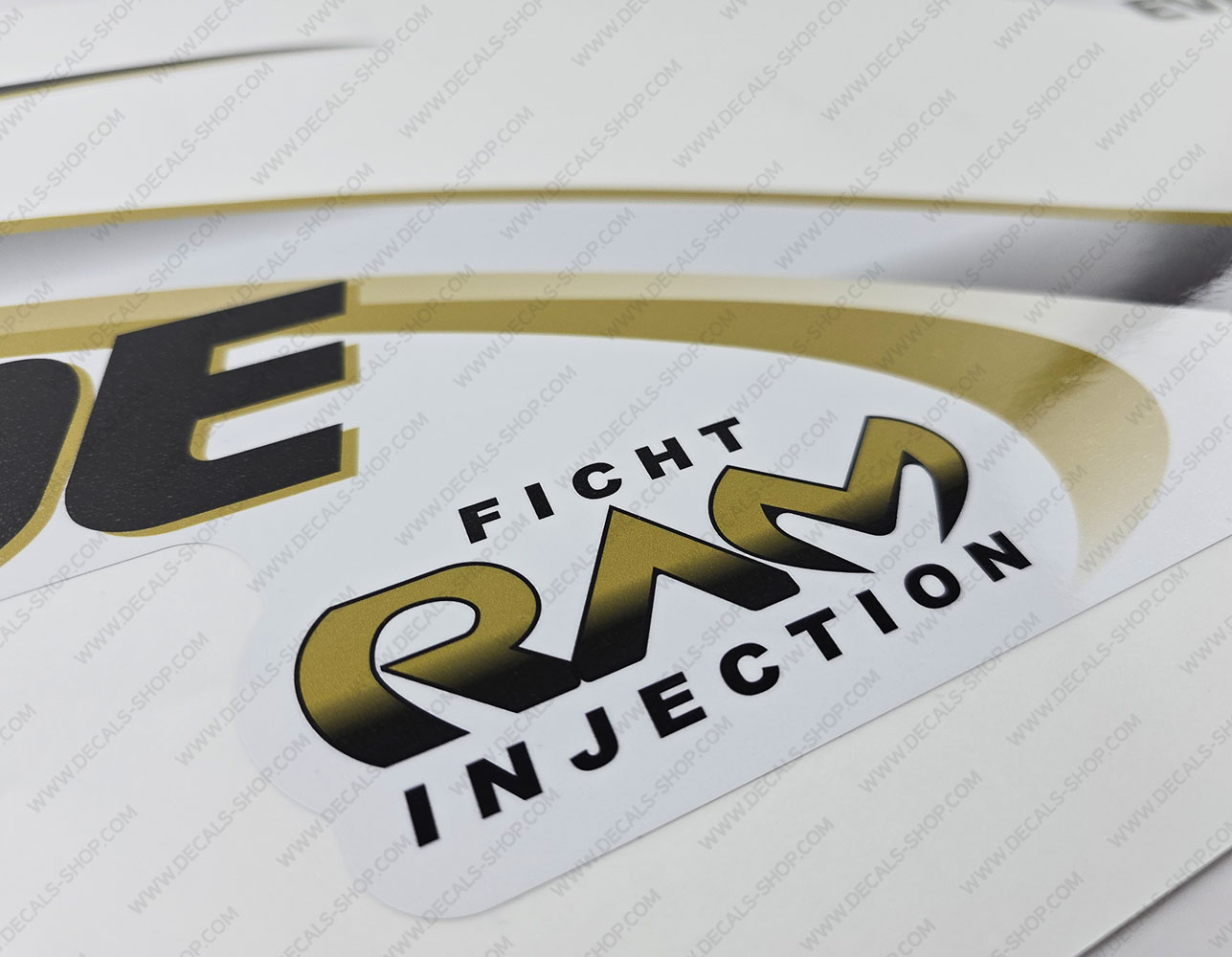 Evinrude 175HP Ficht RAM Injection 2001 White Cowl Outboard Decal Kit